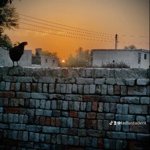 Cover for God