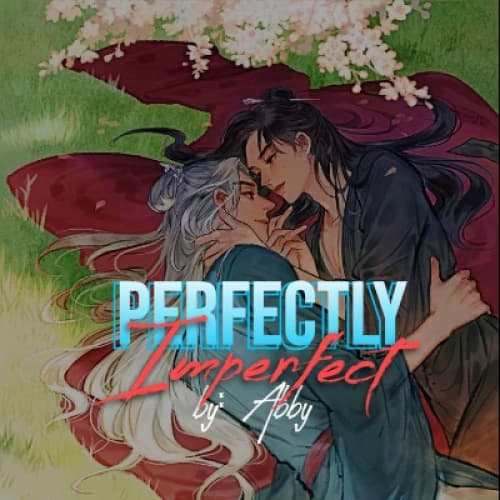 Cover for Perfectly Imperfect