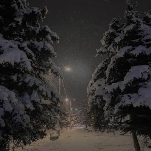 Cover for A Thousand Words to Winter