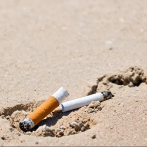 Cover for The Cigarette on the Beach