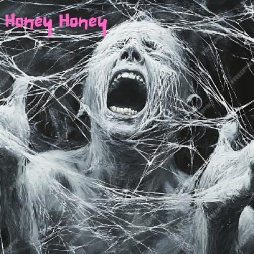 Cover for Honey Honey