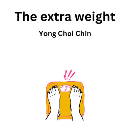Cover for The extra weight