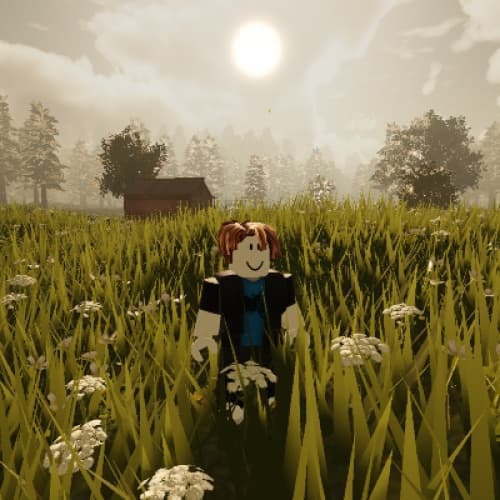 Cover for The dream