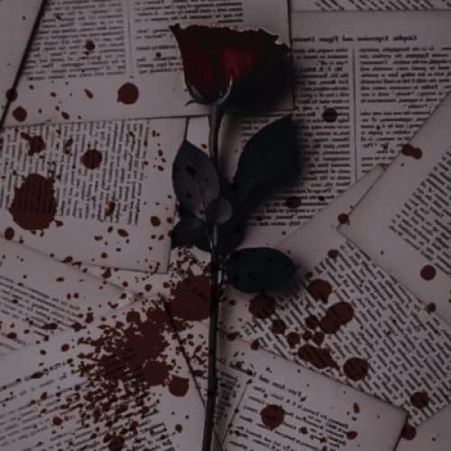 Cover for Little Red Rose