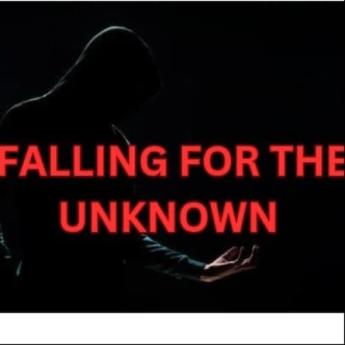 Cover for FALLING FOR THE UNKNOWN