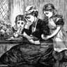Story Cover Image
