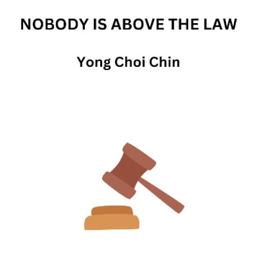 Cover for Nobody is above the law