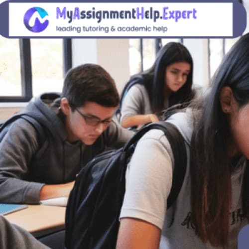 Cover for Struggling with Your Accounting Assignment? Here’s How to Ace It Like a Pro!