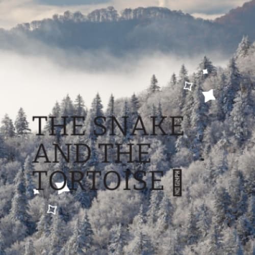 Cover for THE SNAKE AND THE TORTOISE