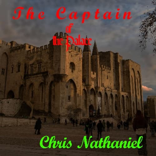 Cover for The captain of the Palace