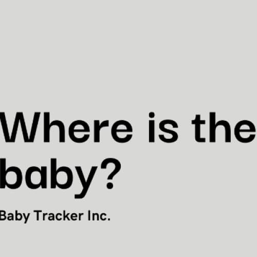Cover for WHERE IS THE BABY?