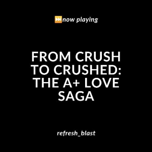 Cover for From Crush to Crushed: The A+ Love Saga