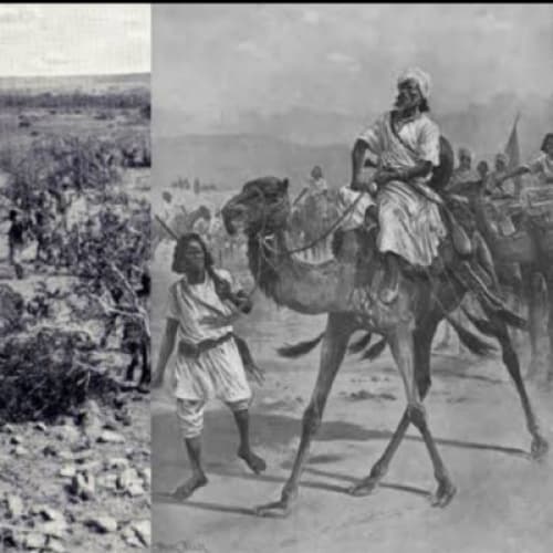 Cover for Near Desperation: A Desert Expedition’s Brush with Cannibalism and Survival.