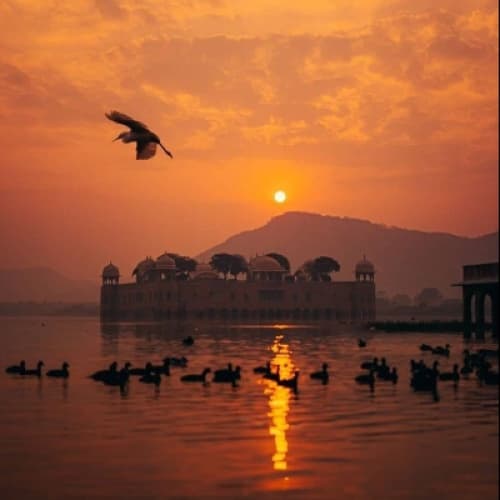 Cover for The Lost Treasure of Rajasthan