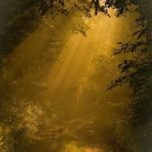Cover for "The Golden Touch: A Lesson in Greed"