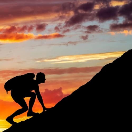 Cover for The Climb