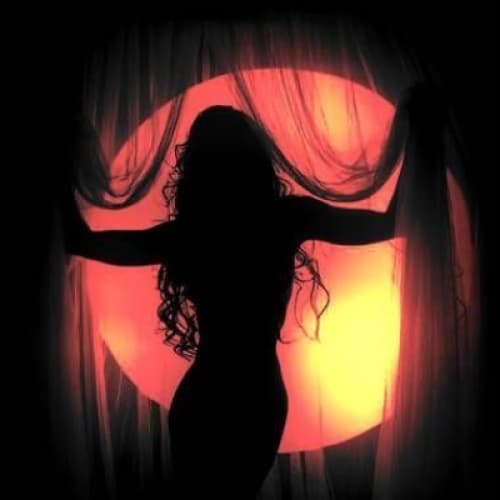 Cover for The Sexual Interventionist - Prologue