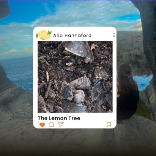 Cover for The Lemon Tree