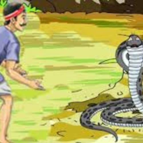 Cover for Life lesson a farmer and the snake
