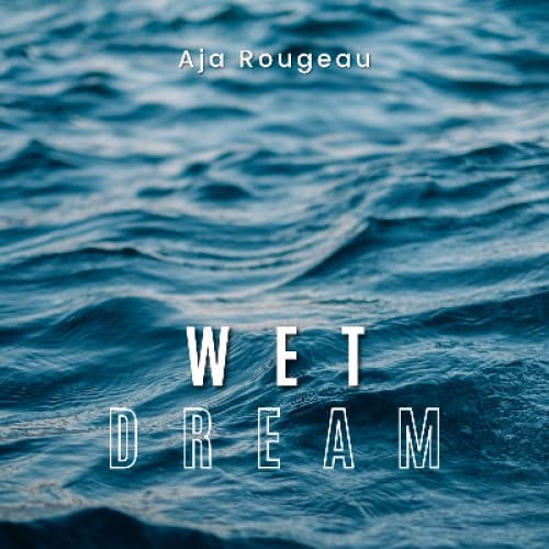 Cover of Wet Dream