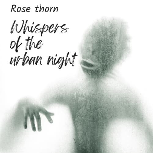 Cover for Whispers of the urban night