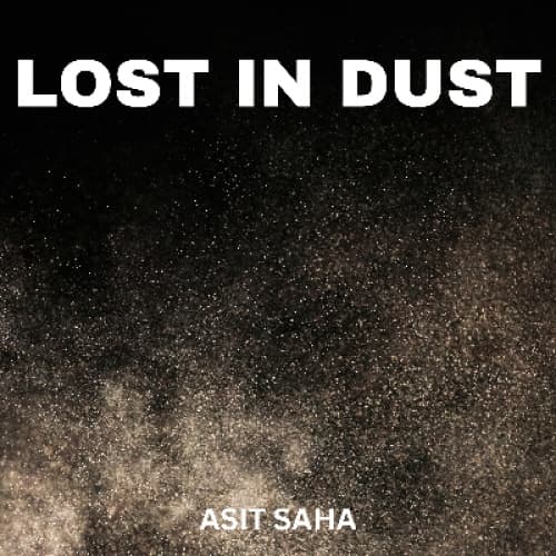 Cover for Lost In Dust