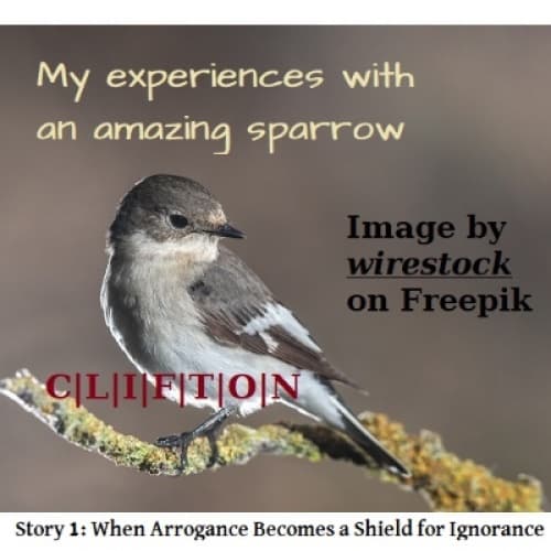 Cover for WHEN ARROGANCE BECOMES A SHIELD FOR IGNORANCE