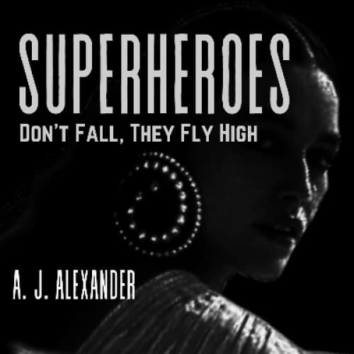 Cover for Superheroes Don't Fall, They Fly High