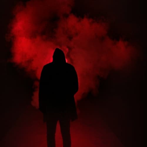 Cover for The horror story