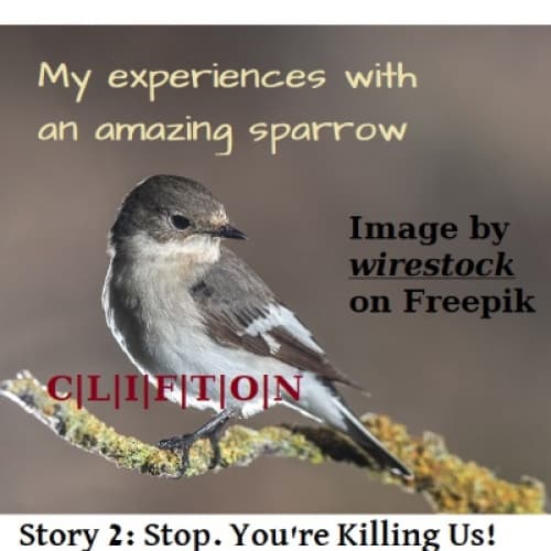 Cover for STOP. YOU'RE KILLING US!