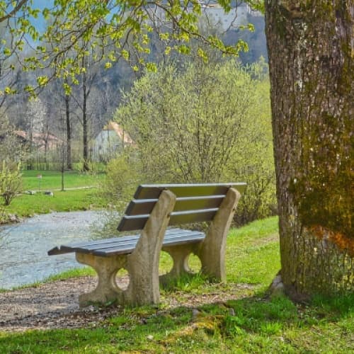 Cover for The bench by the river