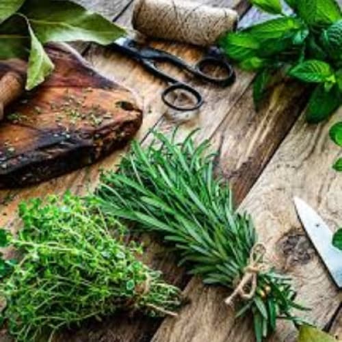 Cover for Herbs for Health