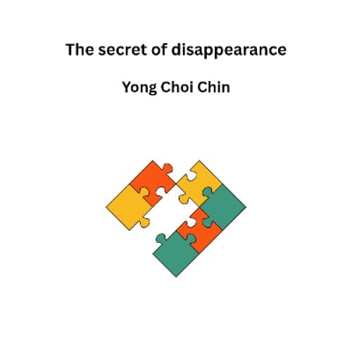 Cover for The secret of disappearance
