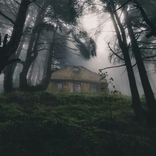 Cover for The Enigma at Hollow Manor