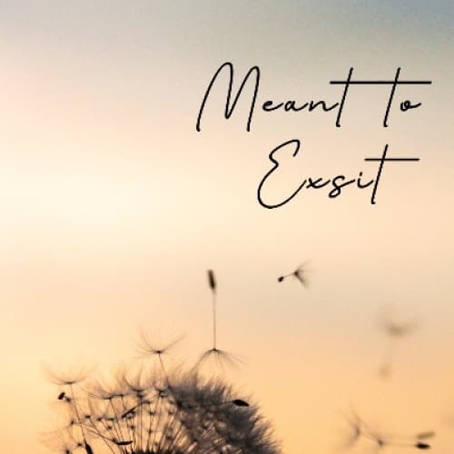 Cover for Meant To Exist
