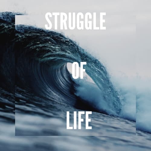 Cover for Struggles with Life