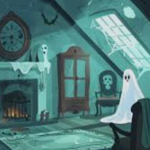 Cover for The shadow in the Attic