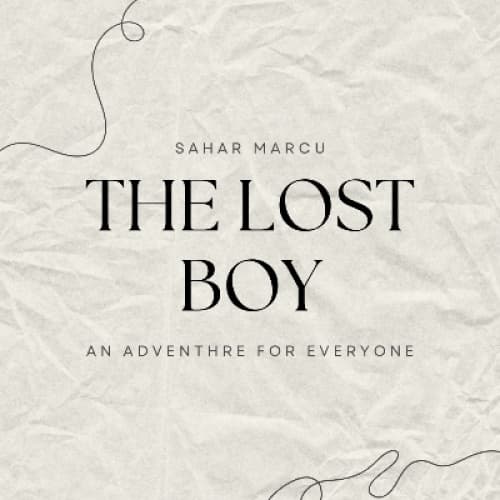 Cover for The lost boy
