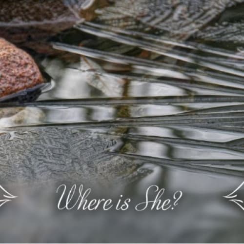Cover for Where is She?