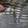 Story Cover Image