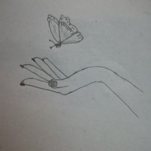 Cover for What is Life