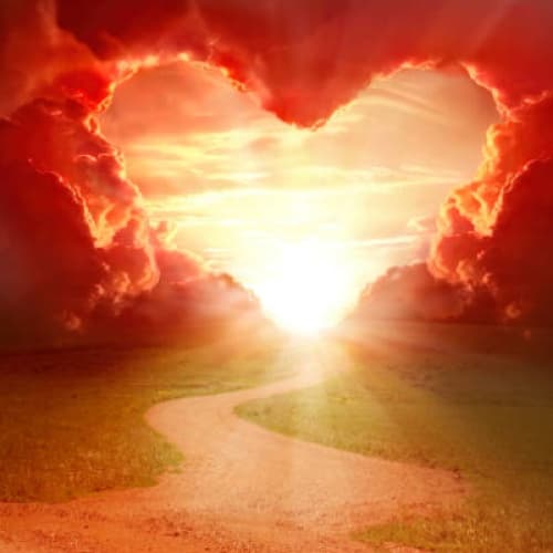 Cover for MY SCHOOL LOVE STORY