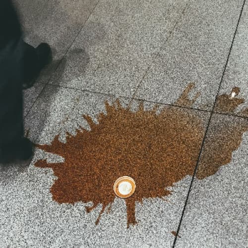 Cover for "The Great Coffee Spill of '25"