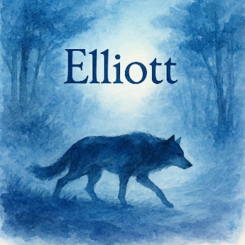 Cover for Elliott