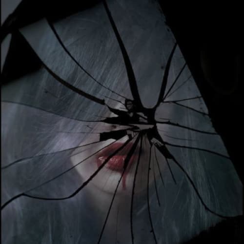 Cover for The girl in the mirror