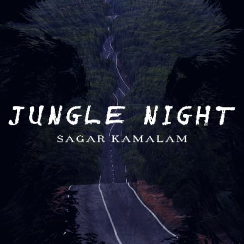 Cover for JUNGLE NIGHT