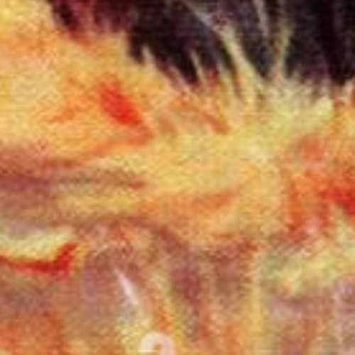 Cover for Rip Van Winkle