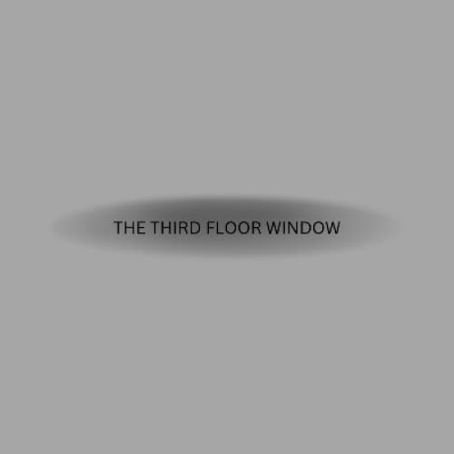 Cover for The third floor window