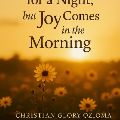 Cover for Joy comes in the morning