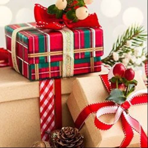 Cover for The Unexpected Gift